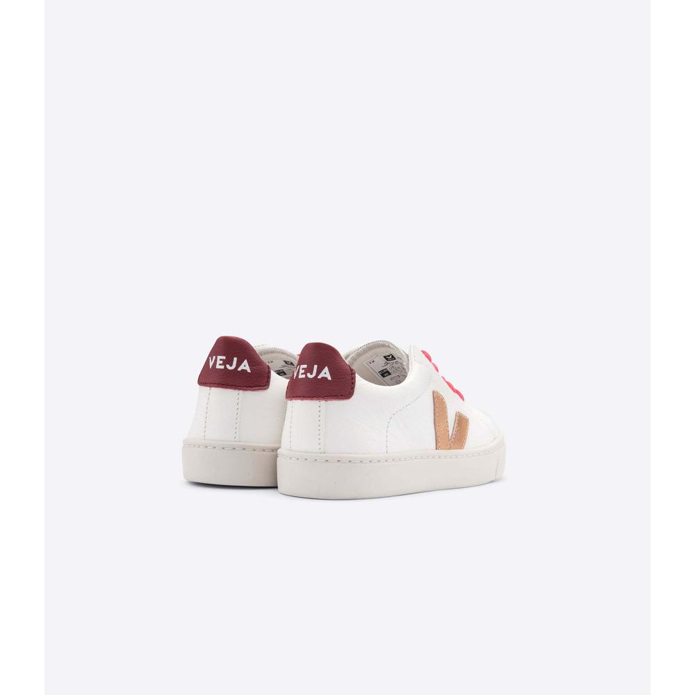 Kids' Veja ESPLAR LEATHER Sneakers Gold/Red/White | SG 810OKI